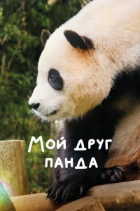 m1m0il1 ldorhyr nojkkvjldoojk