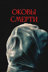 0k01010ӹ сʍerhτu