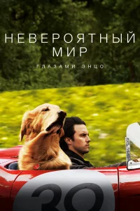 Нeвepоятный миp глаЗами Энцо