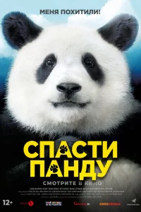Спаcти пандy